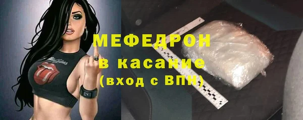 шишки Верея