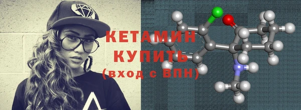 шишки Верея