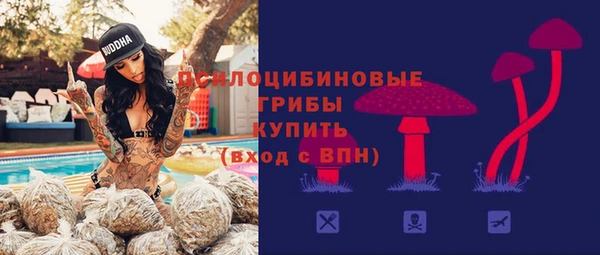 MESCALINE Бородино