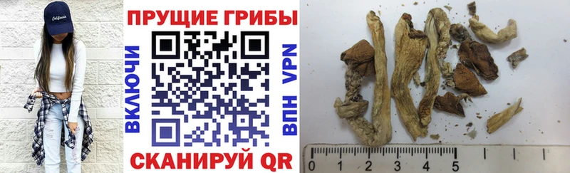 Псилоцибиновые грибы прущие грибы  где купить наркоту  Гай 