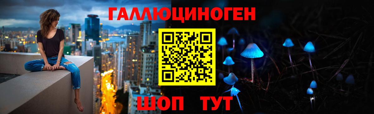 Галлюциногенные грибы GOLDEN TEACHER  Вход с VPN  Гай  наркошоп  Псилоцибиновые грибы Psilocybe 